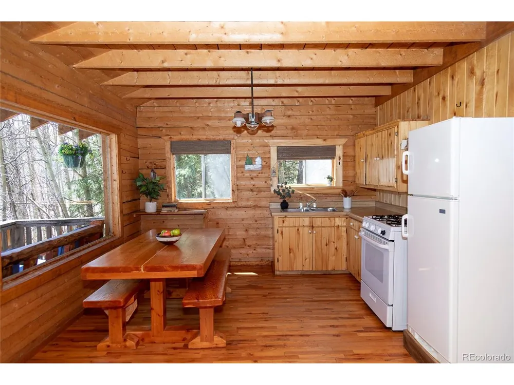 1001 CR 17 #Aspen Cabin Lake City, CO 81235