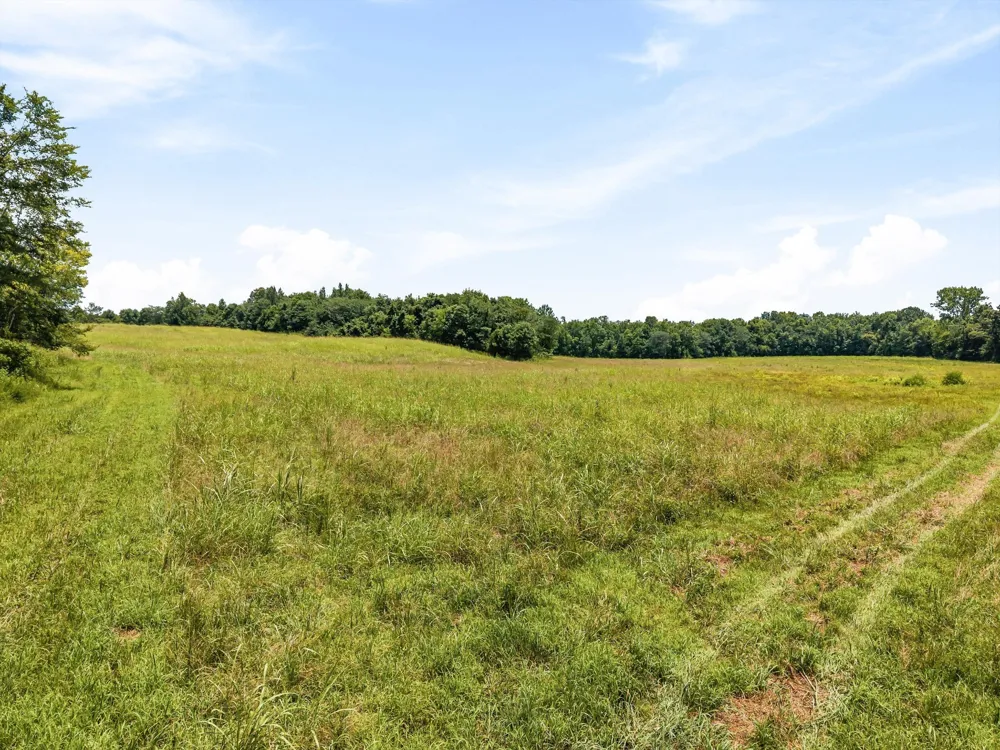 900 Ed Renfroe Cir Bath Springs, TN 38311