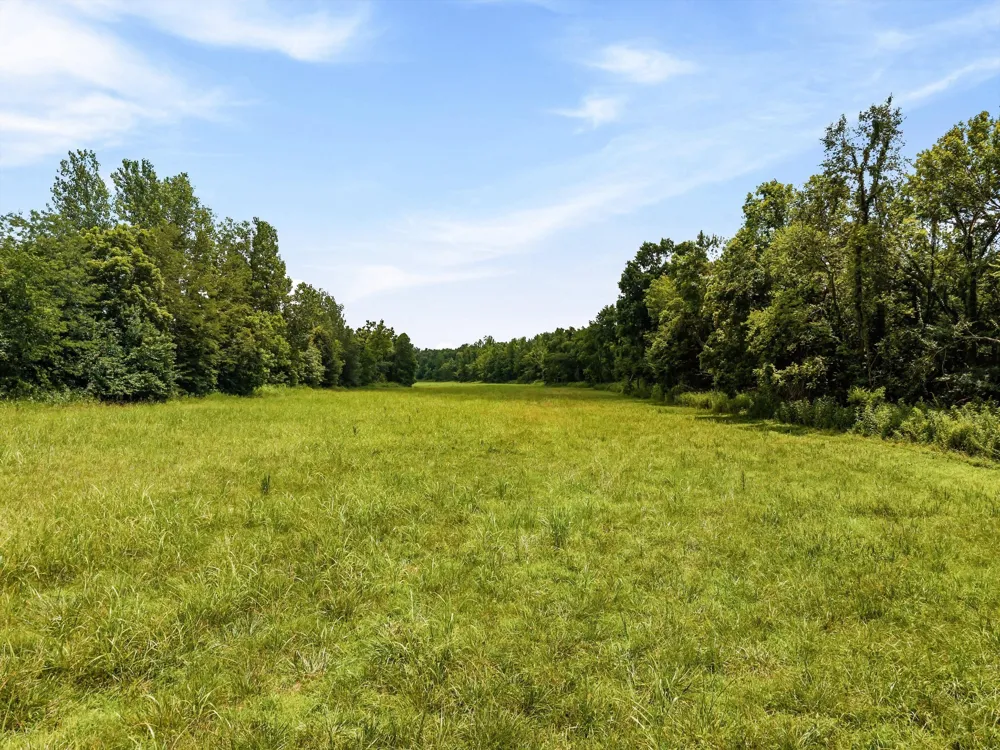 900 Ed Renfroe Cir Bath Springs, TN 38311