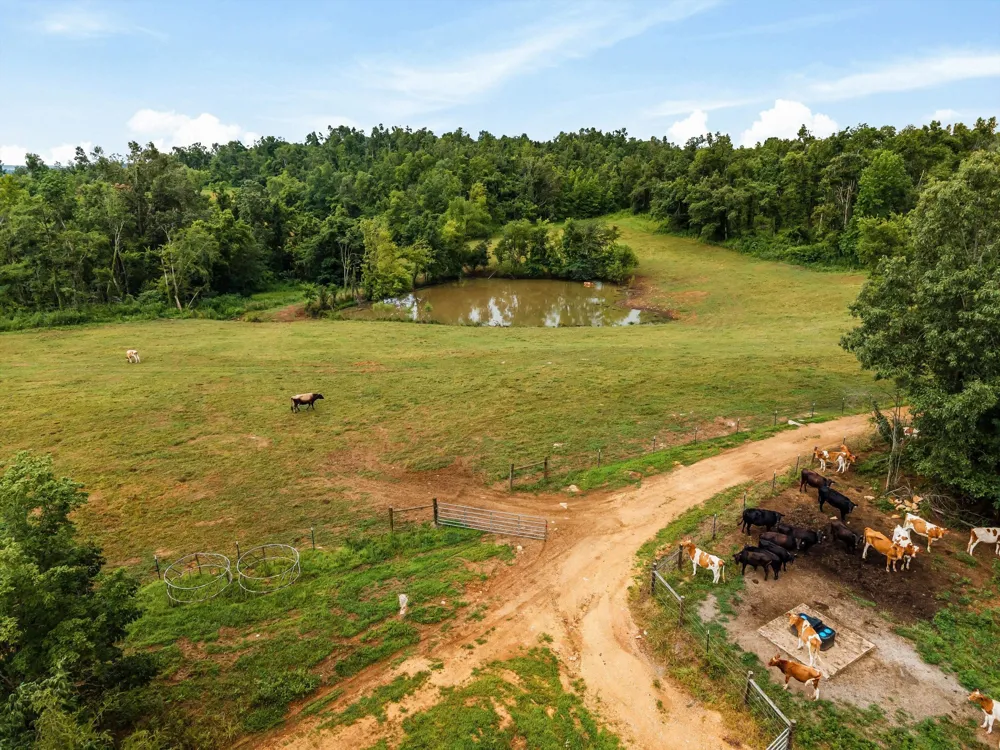 900 Ed Renfroe Cir Bath Springs, TN 38311