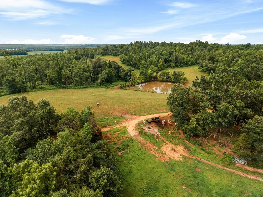 900 Ed Renfroe Cir Bath Springs, TN 38311