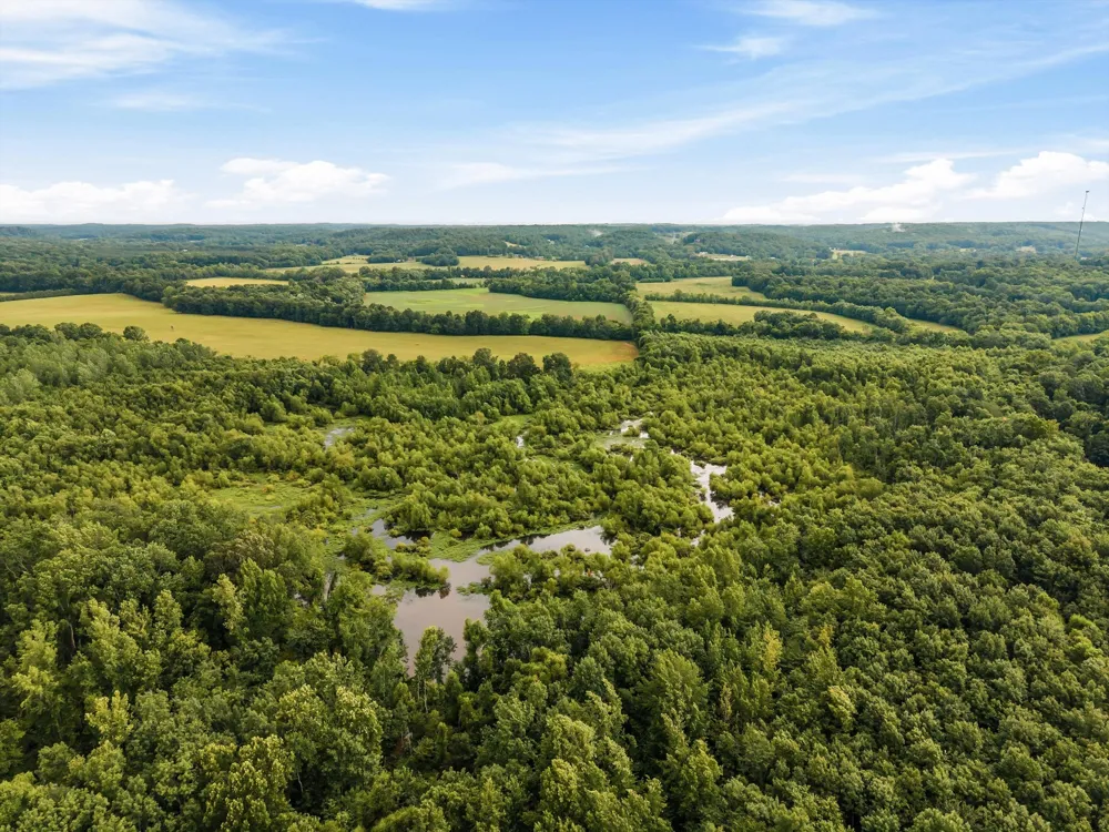 900 Ed Renfroe Cir Bath Springs, TN 38311