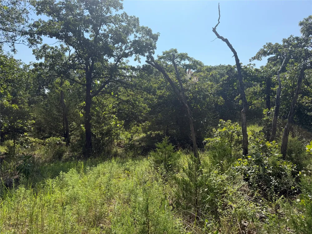 310 Private Road 2705 Road Bartlesville, OK 74003