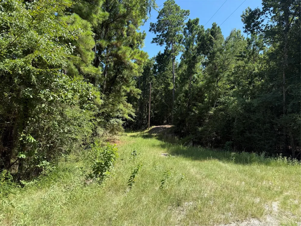 Creeklake Drive Onalaska, TX 77360