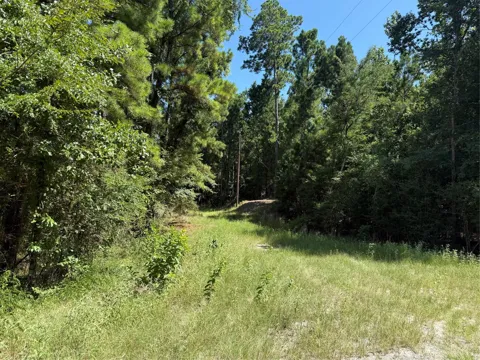 Creeklake Drive