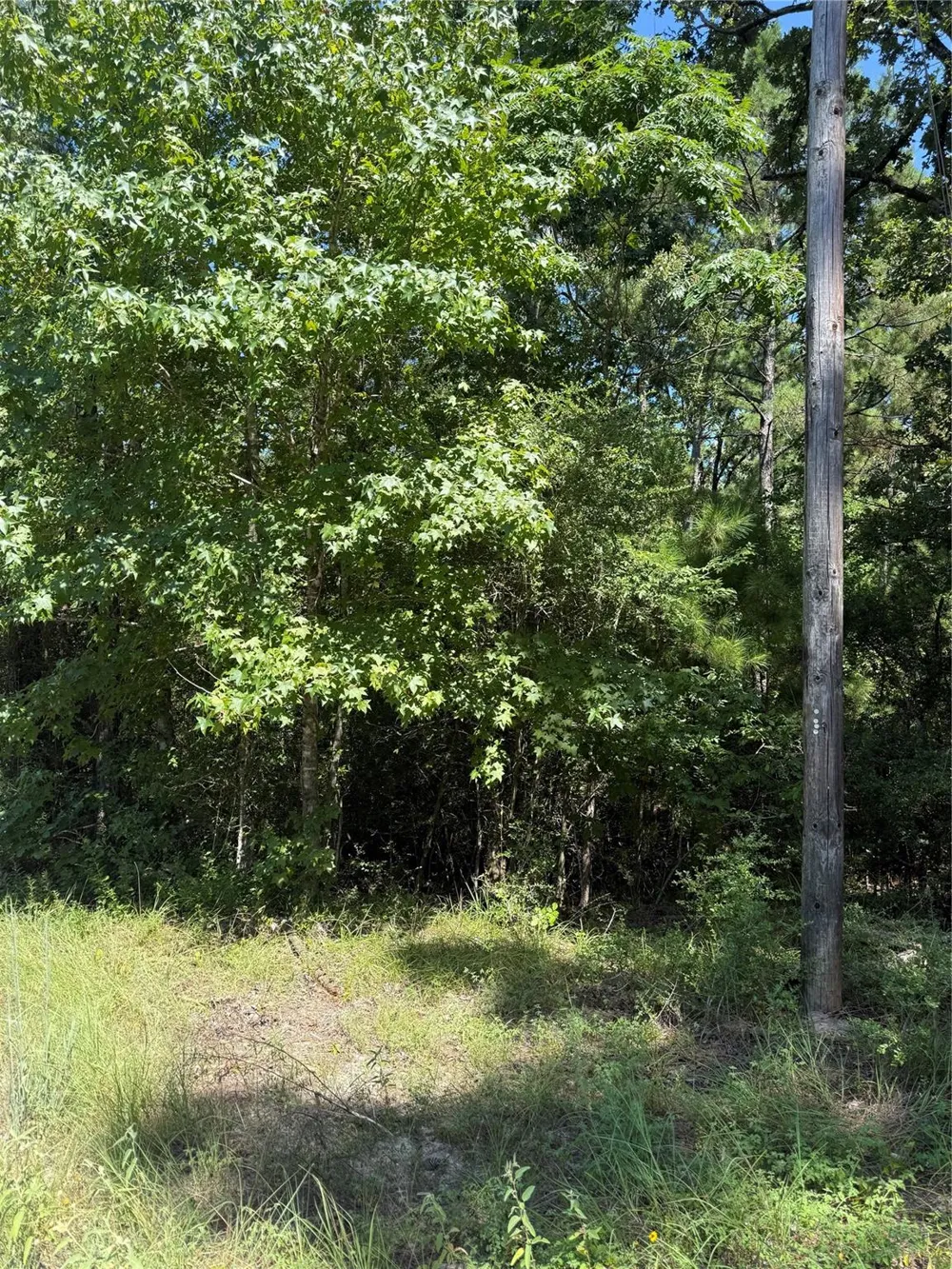 Creeklake Drive Onalaska, TX 77360