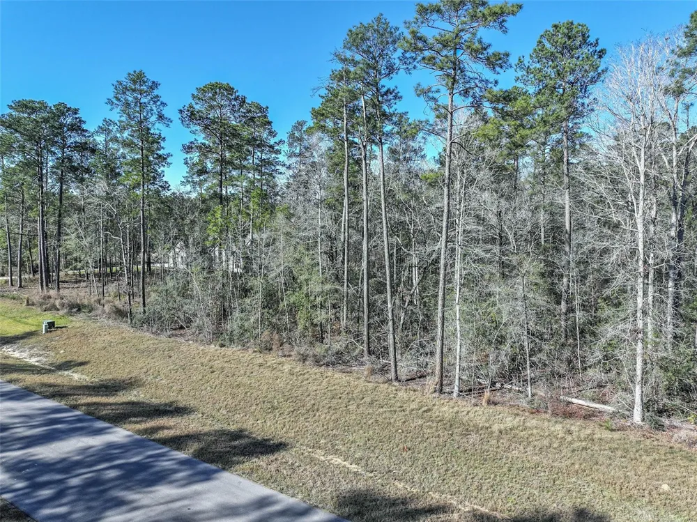 15268 Forest Grove Drive Willis, TX 77378