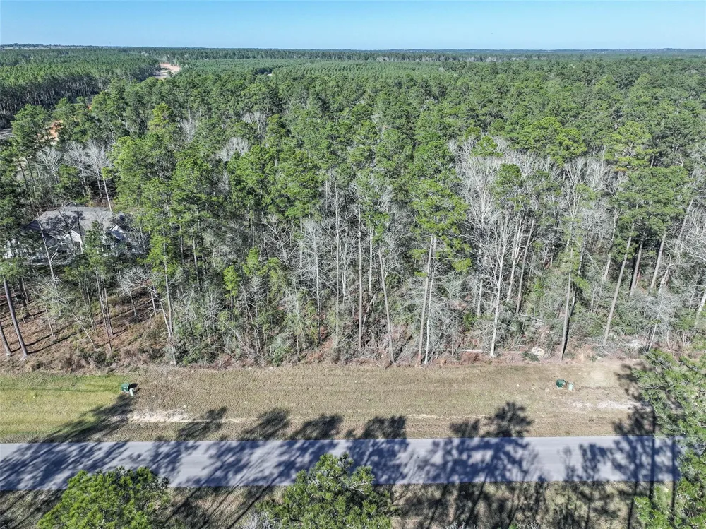 15268 Forest Grove Drive Willis, TX 77378