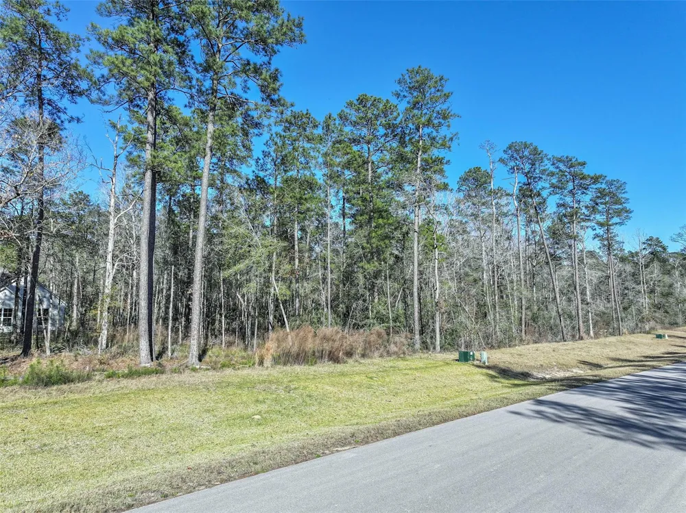 15268 Forest Grove Drive Willis, TX 77378