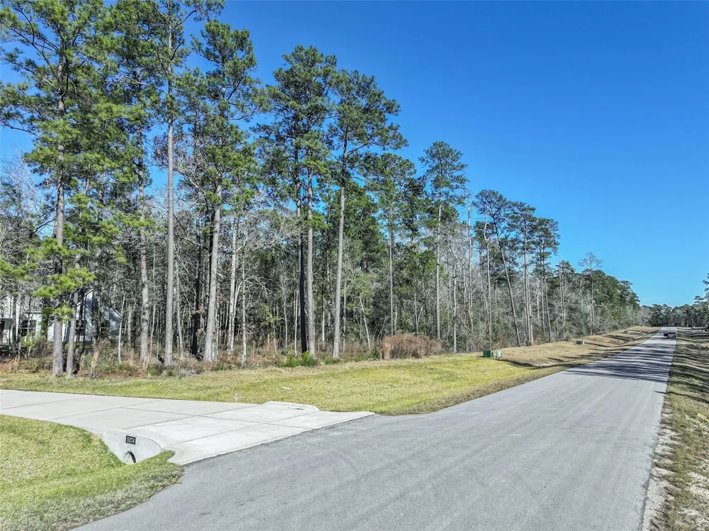 15268 Forest Grove Drive Willis, TX 77378