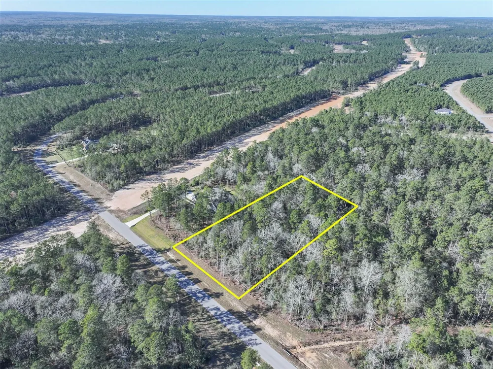 15268 Forest Grove Drive Willis, TX 77378