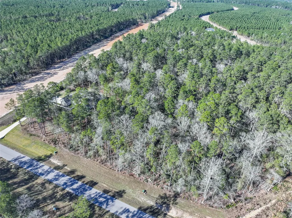 15268 Forest Grove Drive Willis, TX 77378