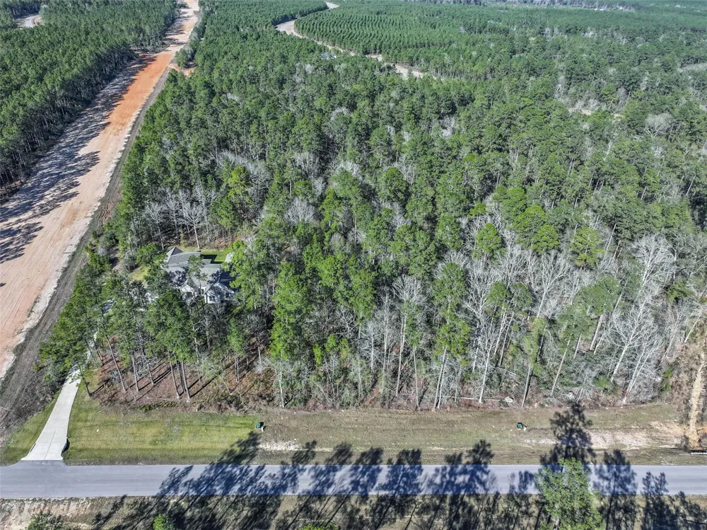 15268 Forest Grove Drive Willis, TX 77378