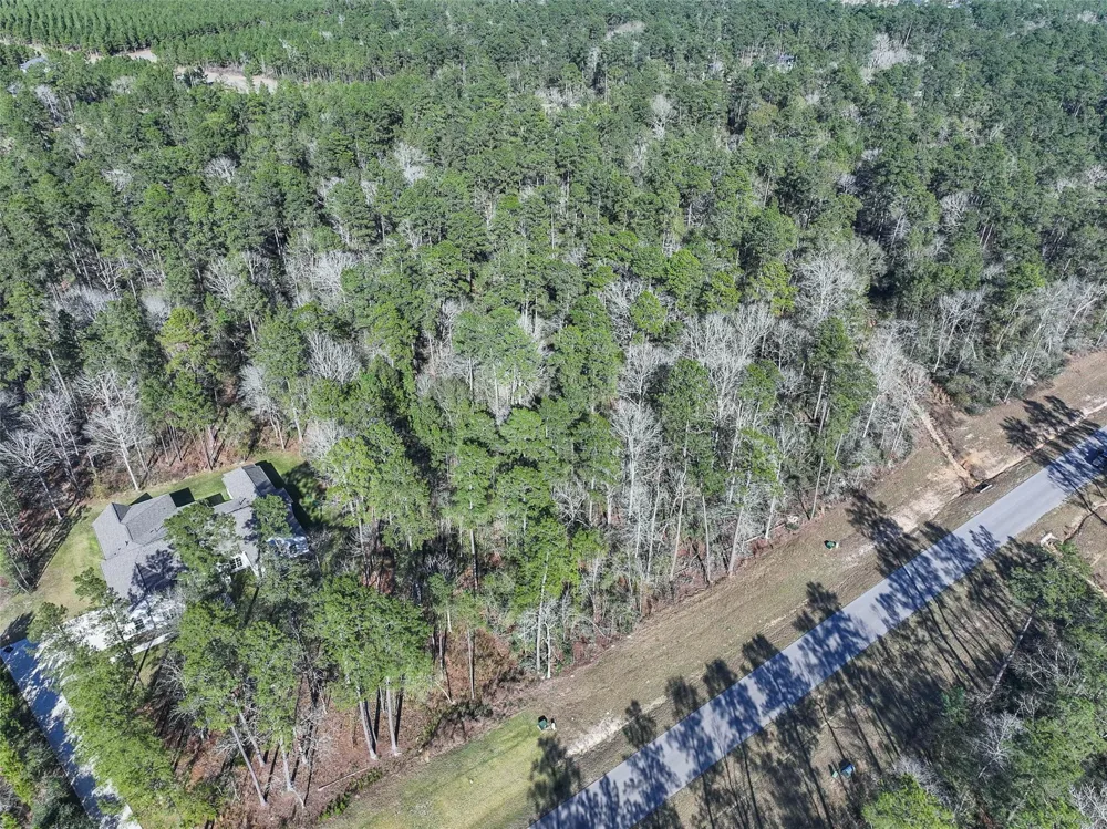 15268 Forest Grove Drive Willis, TX 77378