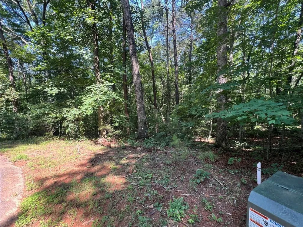 85 VIA MASSA Dahlonega, GA 30533