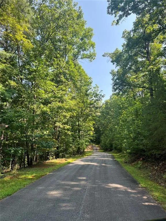85 VIA MASSA Dahlonega, GA 30533