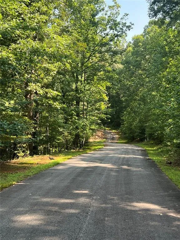 85 VIA MASSA Dahlonega, GA 30533
