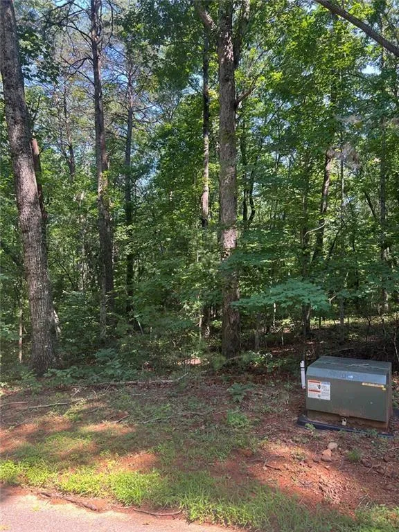 85 VIA MASSA Dahlonega, GA 30533