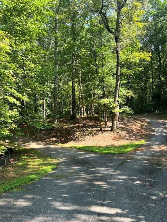 85 VIA MASSA Dahlonega, GA 30533