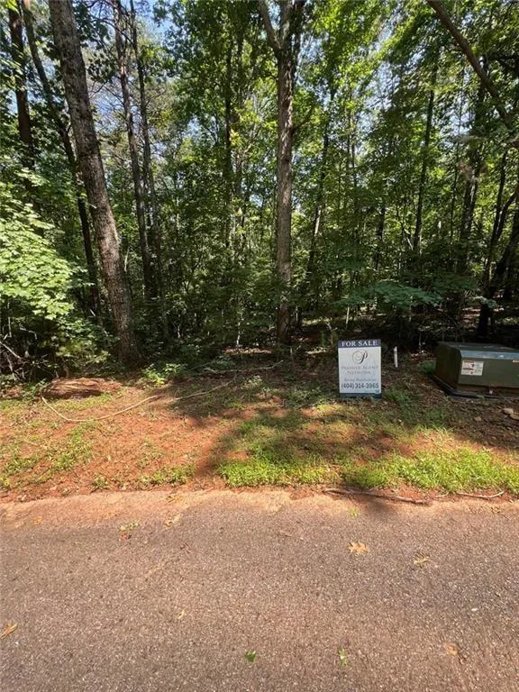 85 VIA MASSA Dahlonega, GA 30533