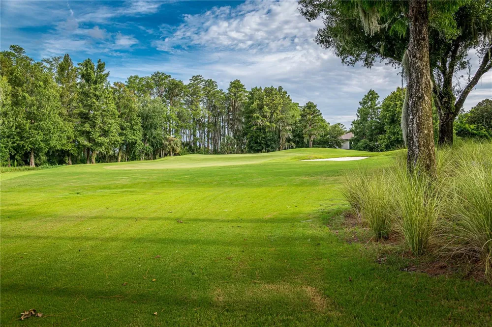6719 VALHALLA WAY Windermere, FL 34786