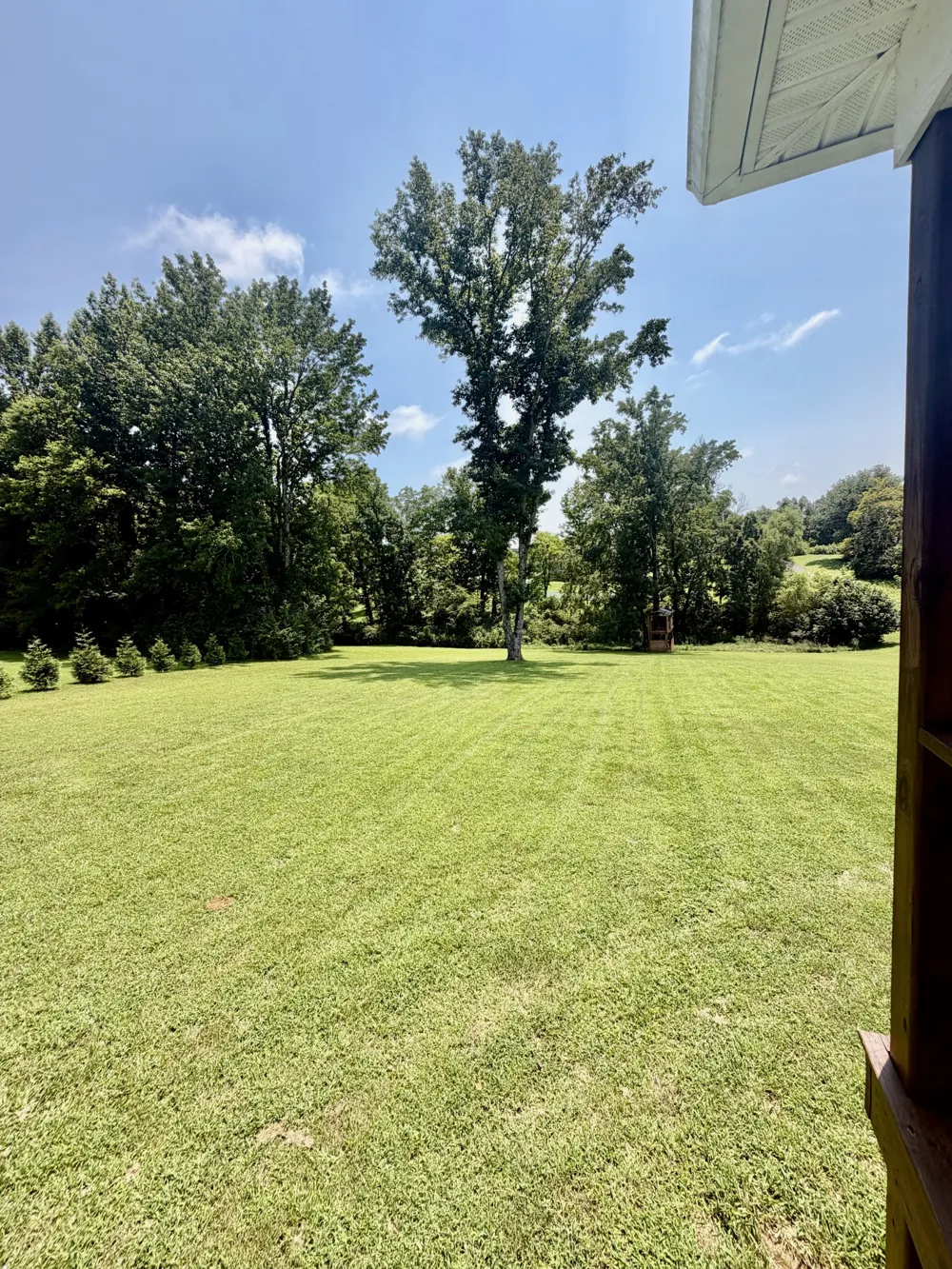 17 Tad Rd Leoma, TN 38468