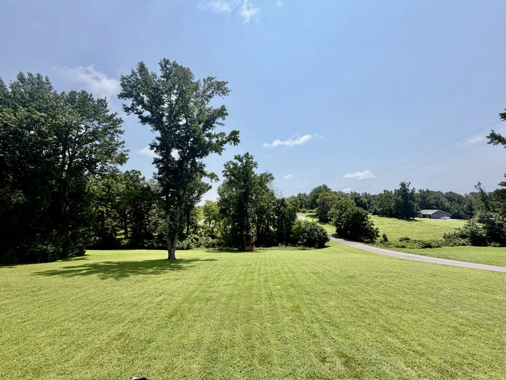 17 Tad Rd Leoma, TN 38468