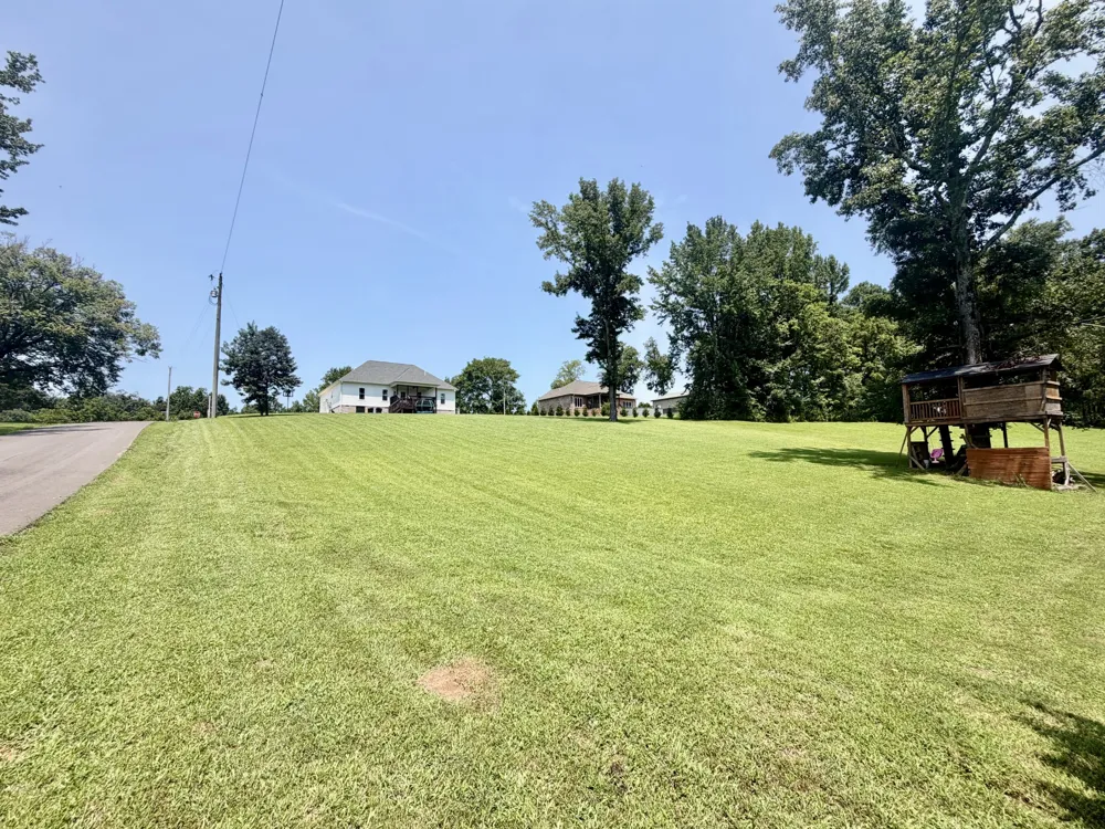 17 Tad Rd Leoma, TN 38468