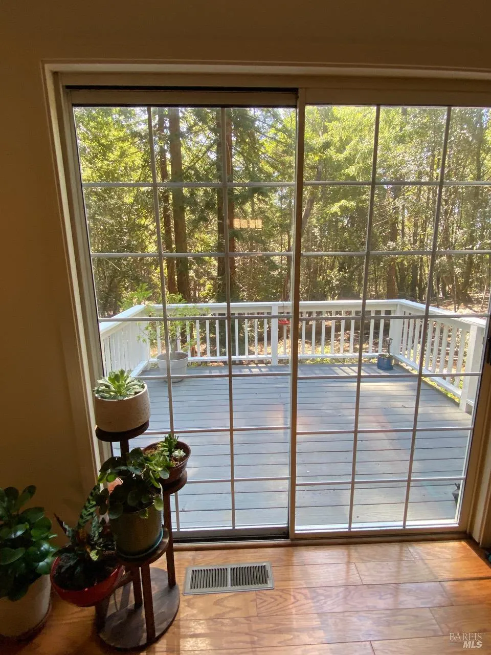 2441 Buckeye Road Willits, CA 95490