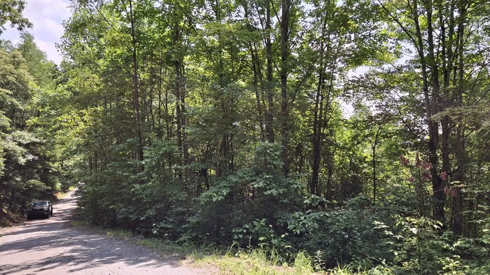 Signal Ridge Sylva, NC 28779