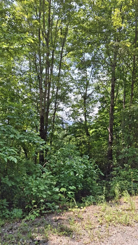 Signal Ridge Sylva, NC 28779