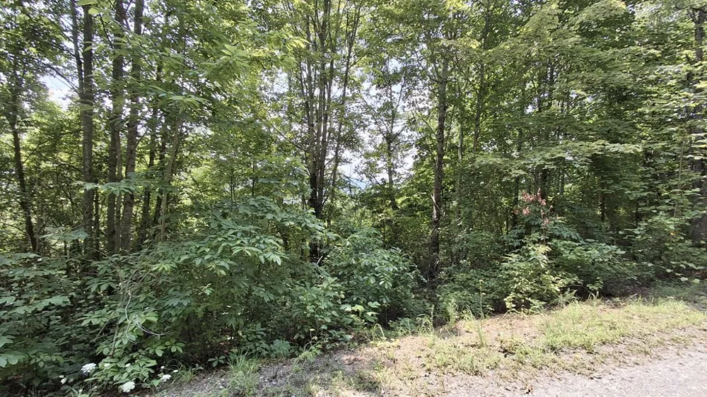 Signal Ridge Sylva, NC 28779