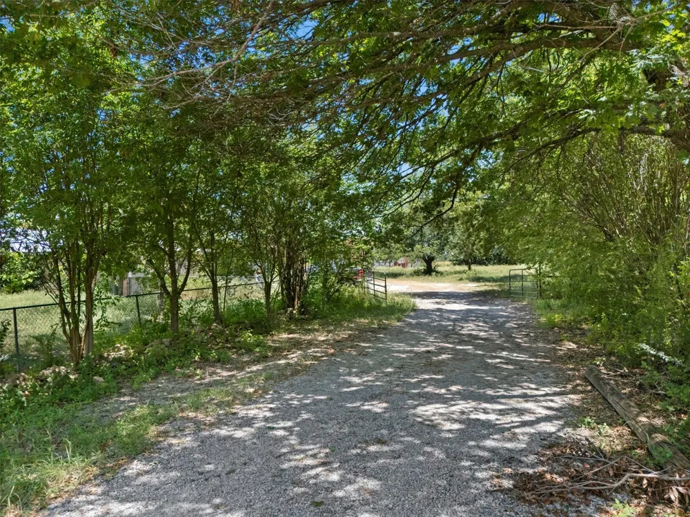 704 E Grand Street Whitewright, TX 75491