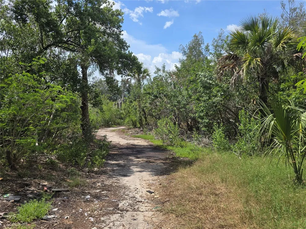 MAIN STREET New Port Richey, FL 34652
