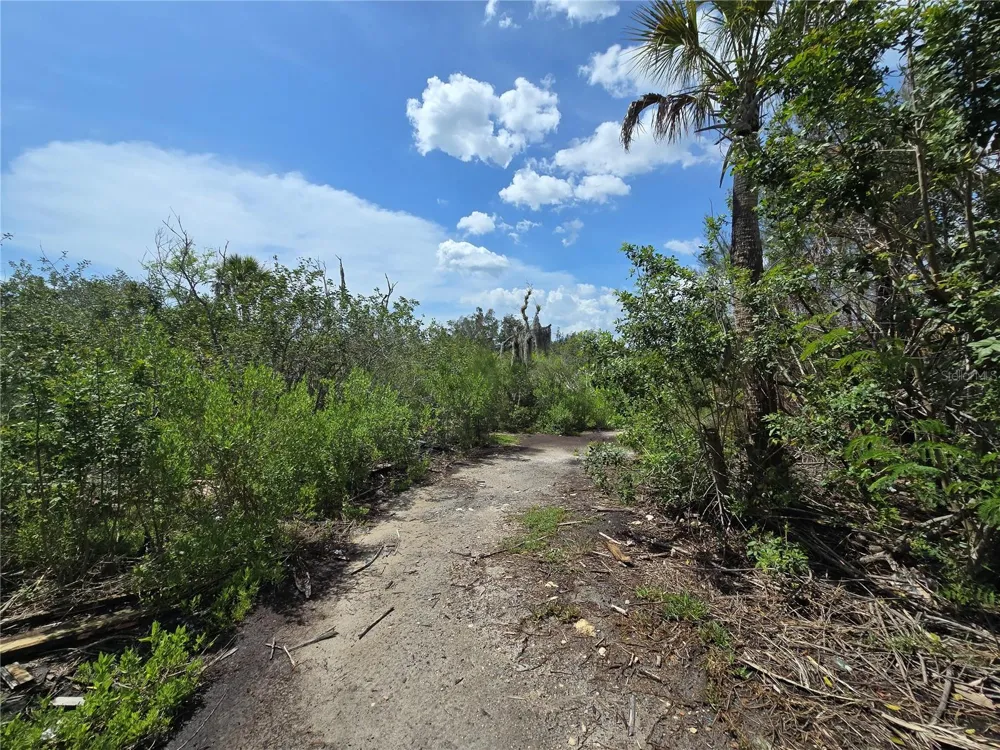 MAIN STREET New Port Richey, FL 34652