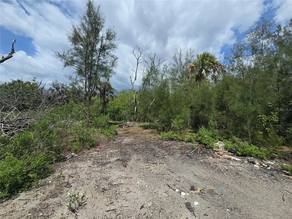 MAIN STREET New Port Richey, FL 34652
