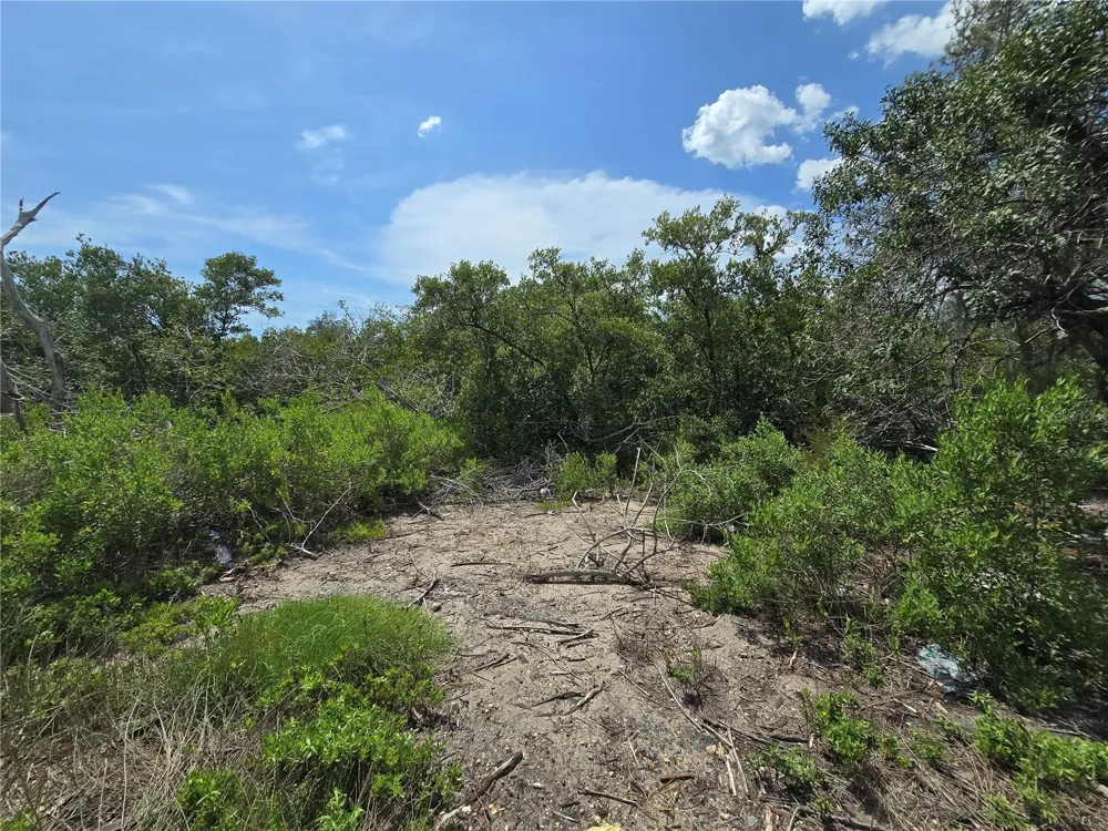 MAIN STREET New Port Richey, FL 34652