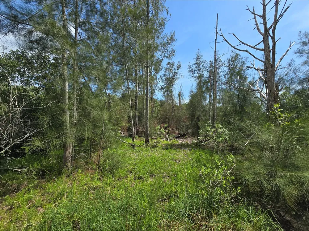 MAIN STREET New Port Richey, FL 34652