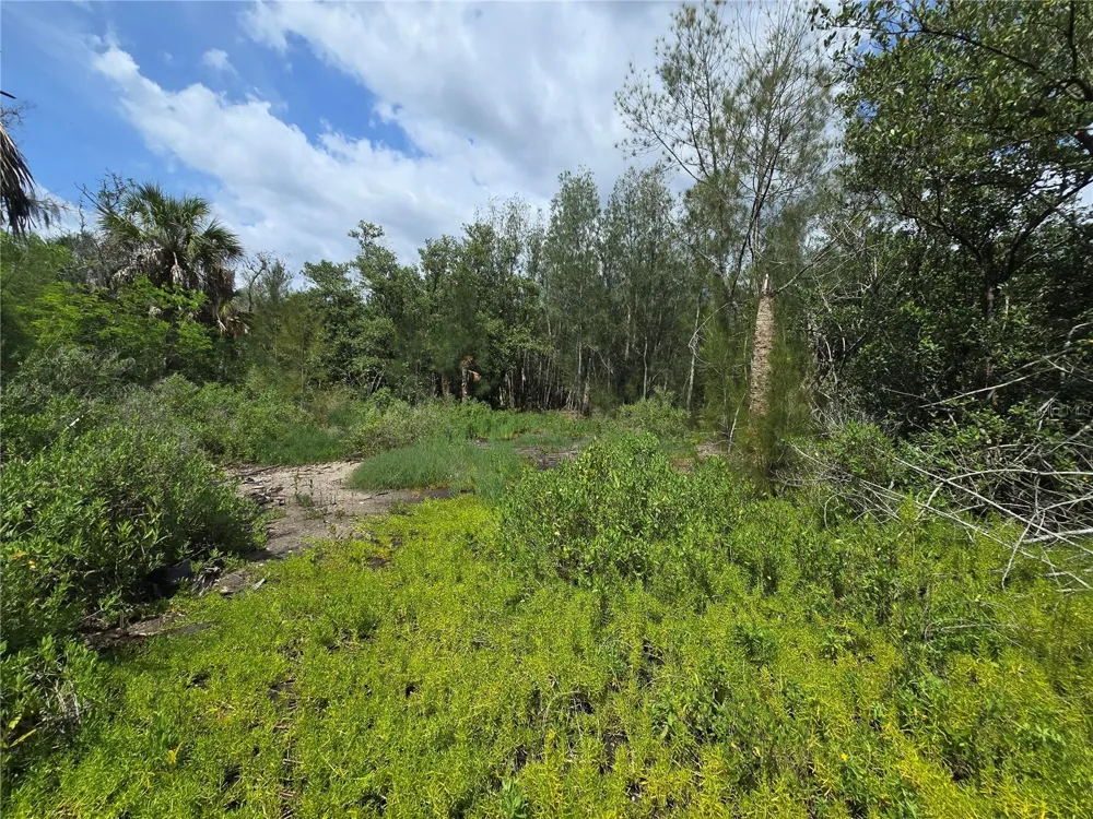 MAIN STREET New Port Richey, FL 34652