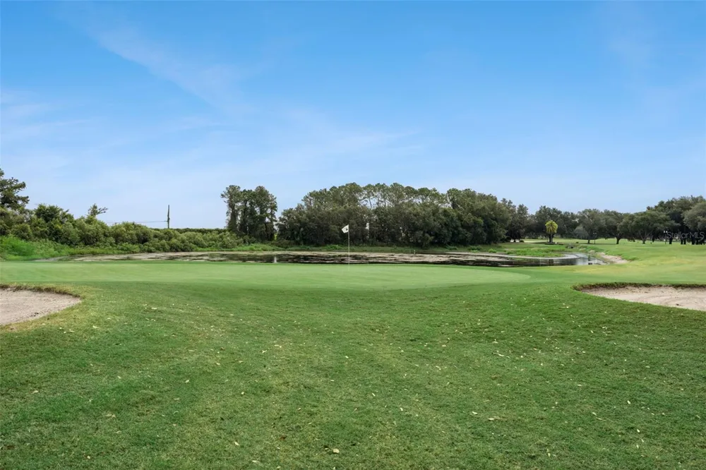 9939 SANTA BARBARA COURT Howey In The Hills, FL 34737