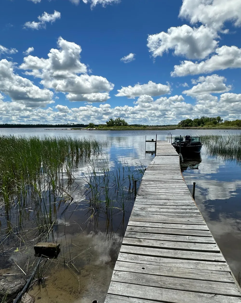 1909 Lynx Island International Falls, MN 56649