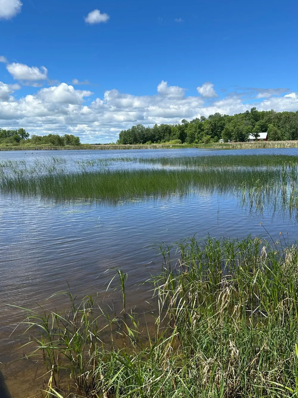 1909 Lynx Island International Falls, MN 56649