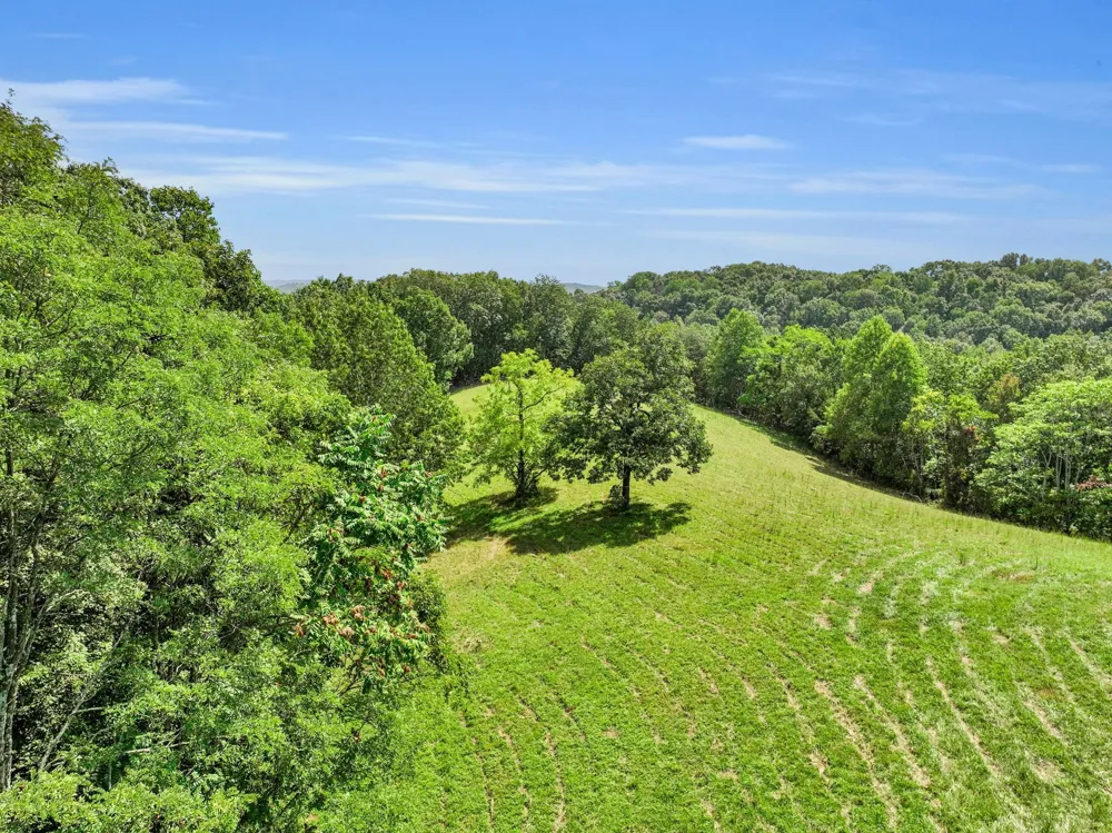 8455 Lewis Rd Nashville, TN 37221
