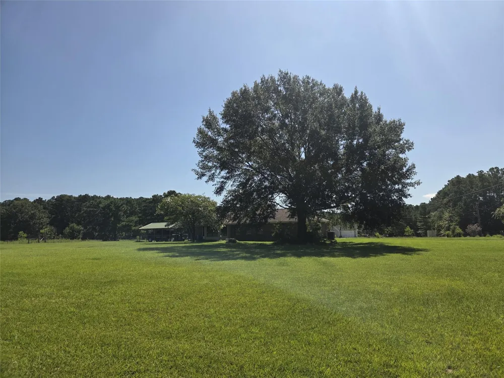 9703 Roda Drive Conroe, TX 77303