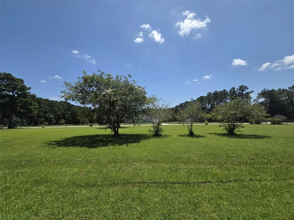 9703 Roda Drive Conroe, TX 77303