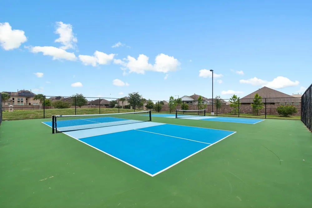 3625 Reina Reach Lane Santa Fe, TX 77510