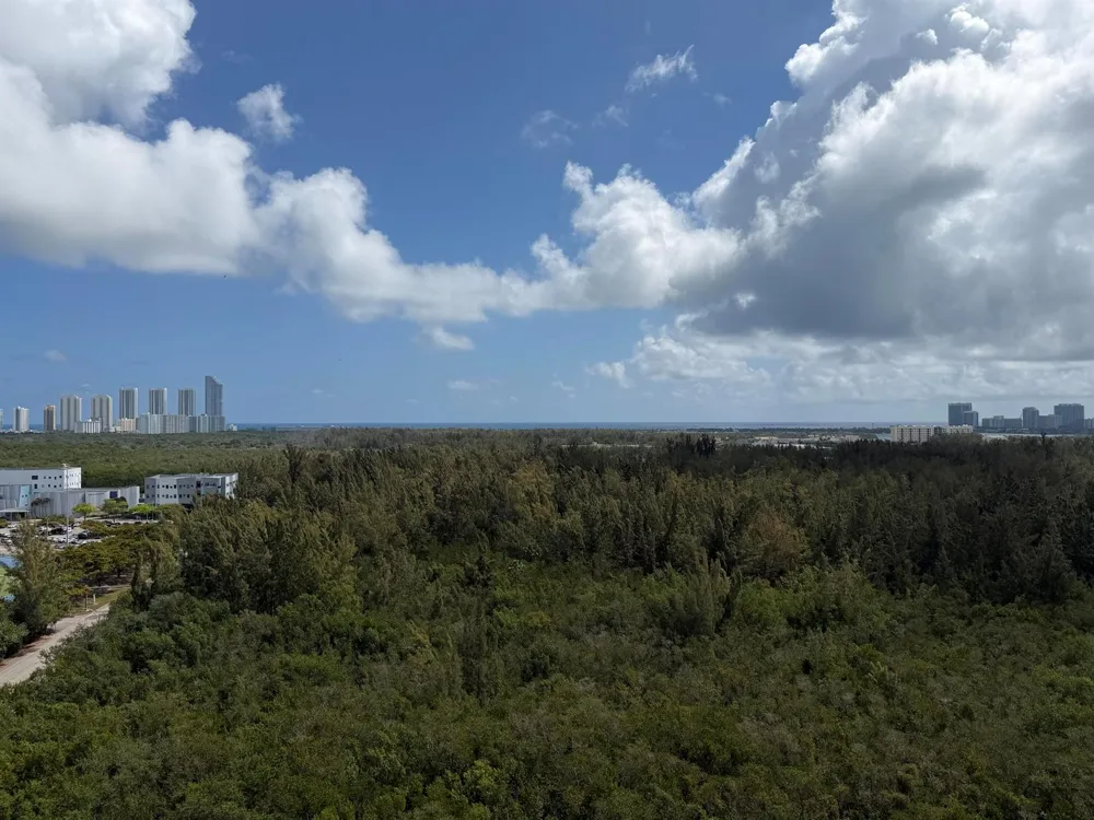 15051 Royal Oaks Lane #1603 North Miami, FL 33181