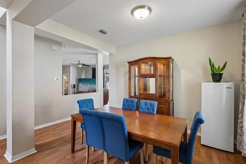 205 ROSANA DRIVE Brandon, FL 33511