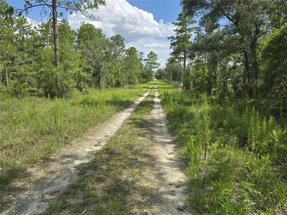 00 NE 121ST AVENUE Williston, FL 32696