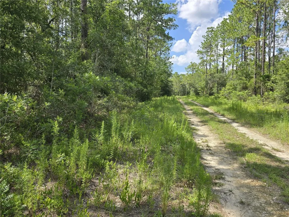 00 NE 121ST AVENUE Williston, FL 32696